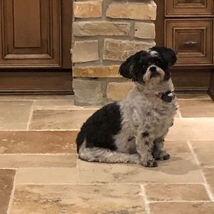 Meet your Posher, Brandi